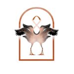 Site-internet-realise-NOS-CIGOGNES-ETERNELLES